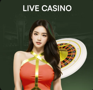 34岁前南安普顿、热刺中场万亚马自宣退役，将向教练转型